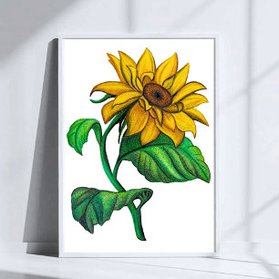 Yellow Sunflower Drawing Coloured Pencil Art Poster