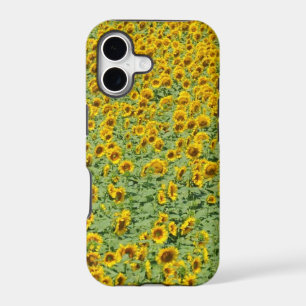 Yellow Sunflower Field