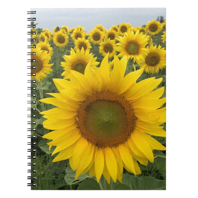 Yellow Sunflower Field Harvest Notebook (Front)