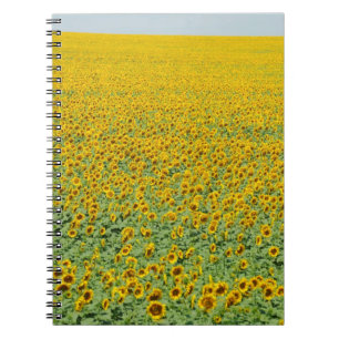 Yellow Sunflower Field Notebook