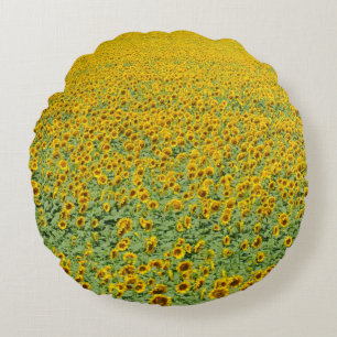 Yellow Sunflower Field Round Pillow