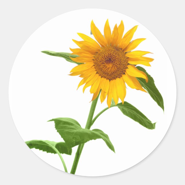 Yellow Sunflower Floral Stickers (Front)