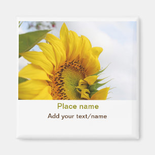 Yellow sunflower garden add photo text name travel magnet