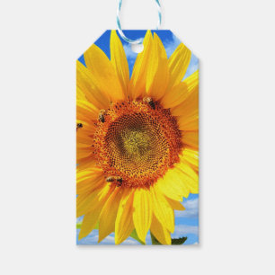 Yellow Sunflower Gift Tags
