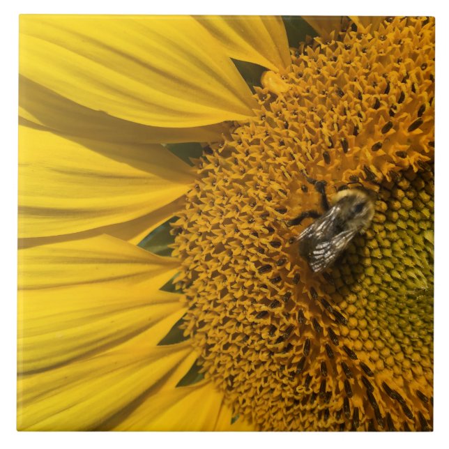 Yellow Sunflower Honey Bee Ceramic Tile (Front)
