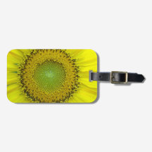Yellow Sunflower