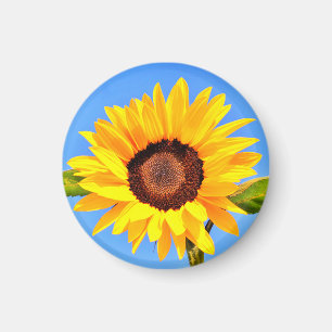 Yellow Sunflower Magnet
