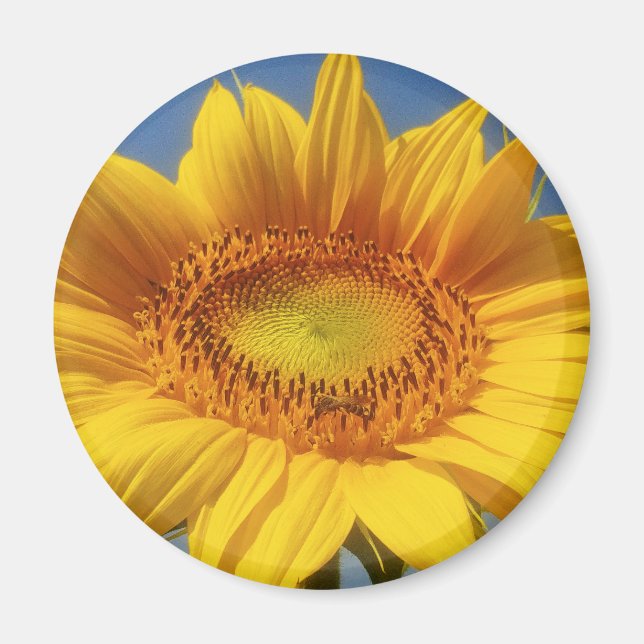 Yellow Sunflower Magnet (Front)