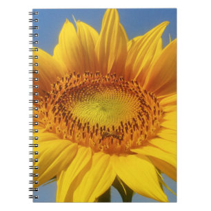 Yellow Sunflower Notebook