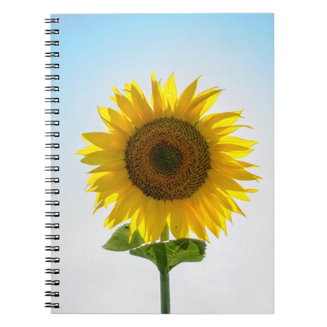 Yellow sunflower notebook (Front)