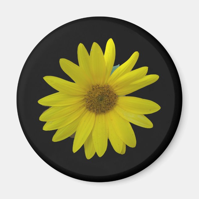 Yellow Sunflower on black background Magnet (Front)