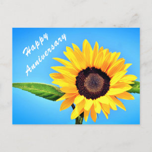 Yellow Sunflower on Blue Sky Anniversary Postcard