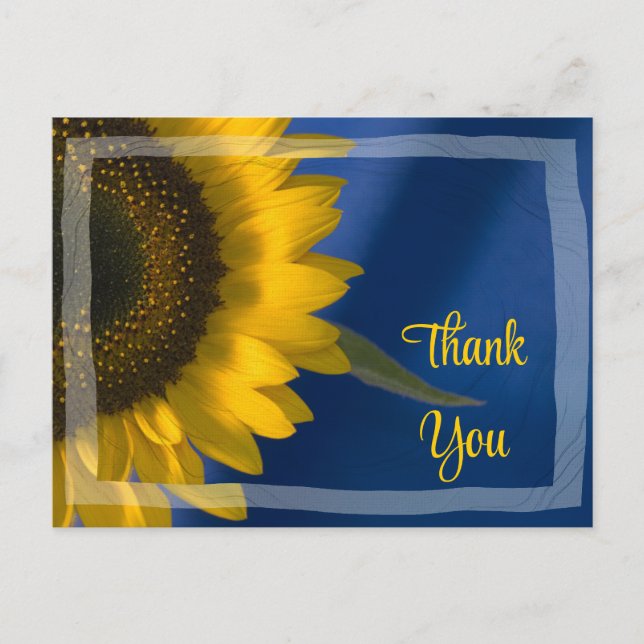 Yellow Sunflower on Blue Thank You Postcard (Front)