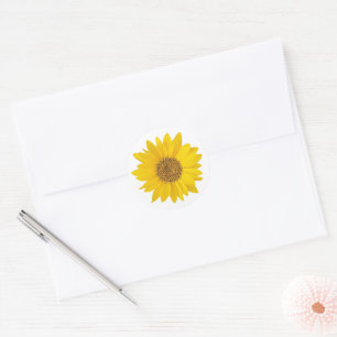 Yellow Sunflower on White Classic Round Sticker