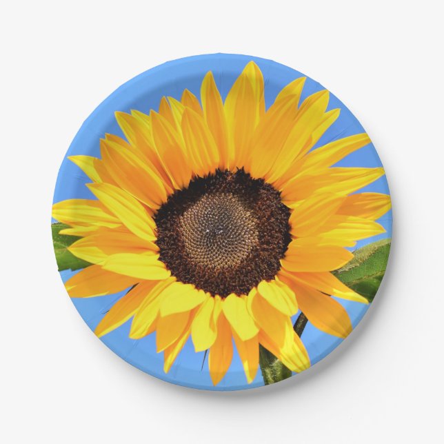 Yellow Sunflower Paper Plates Blue Sky (Front)