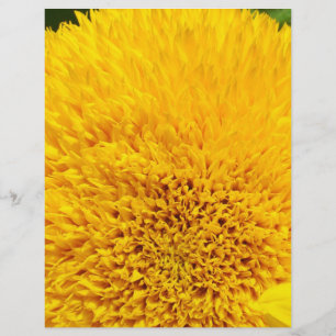 Yellow Sunflower Petals Scrapbook paper Summer