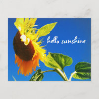 Yellow Sunflower Photo Hello Sunshine Script Bold