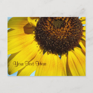 Yellow Sunflower Postcard. -Personalizeable Postcard