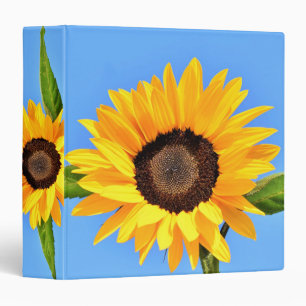 Yellow Sunflowers Against Sun on Blue Sky - Summer Binder