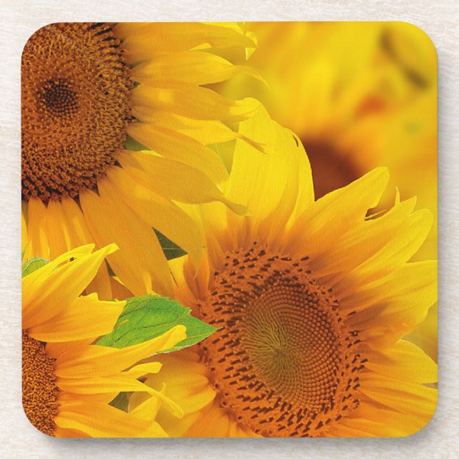 Yellow Sunflowers Cork Coaster (Front)