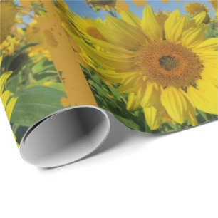 yellow sunflowers in summer wrapping paper