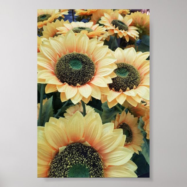 Yellow sunflowers make me happy poster (Front)