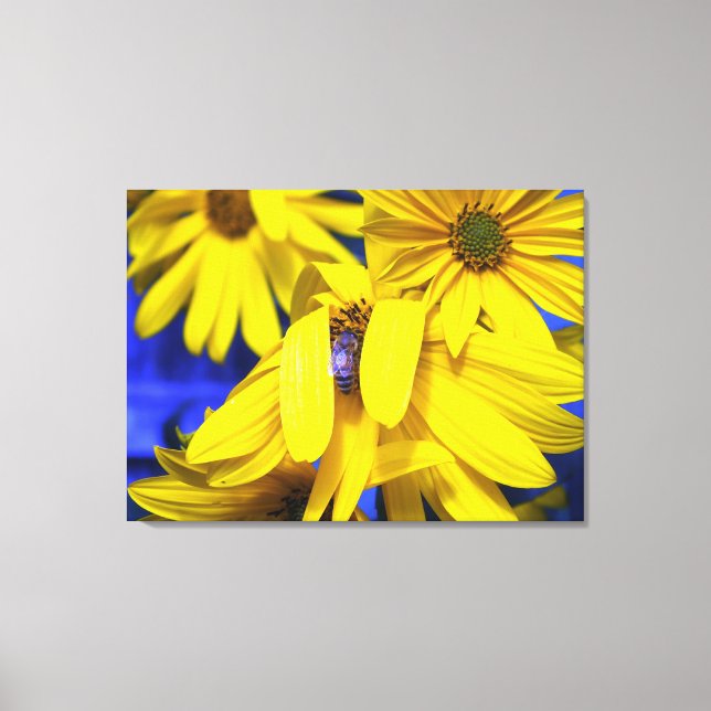 Yellow Sunflowers N Blue Bee Wrapped Canvas Print (Front)