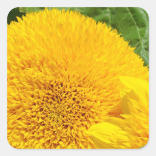 Yellow Sunflowers Stickers Floral Envelope Seals