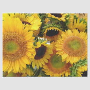 Yellow Sunflowers Summer Tissue Paper Wrap