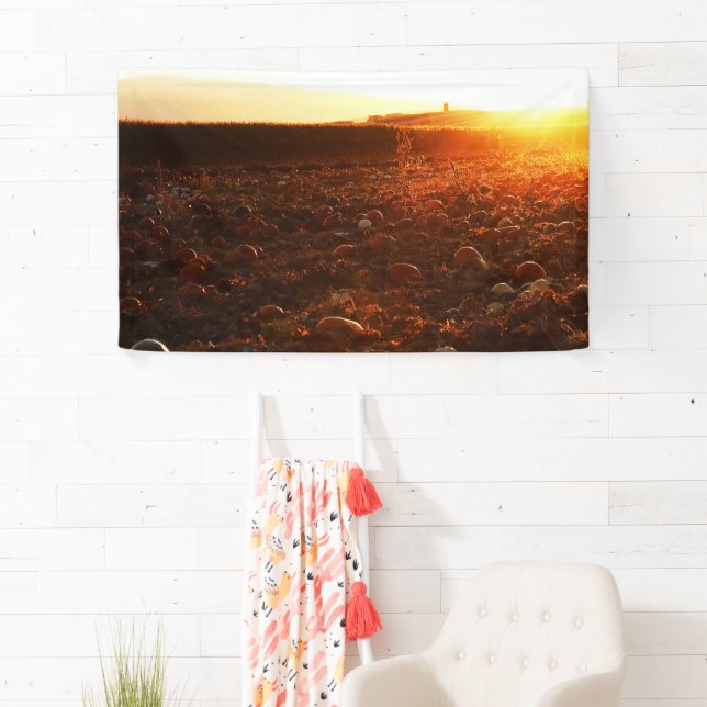 Yellow Sunset Pumpkin Patch  Banner (Insitu)