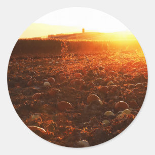 Yellow Sunset Pumpkin Patch Classic Round Sticker