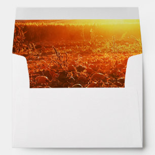 Yellow Sunset Pumpkin Patch Envelope