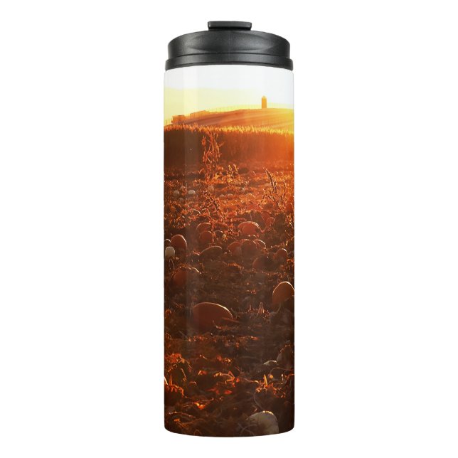 Yellow Sunset Pumpkin Patch  Thermal Tumbler (Front)