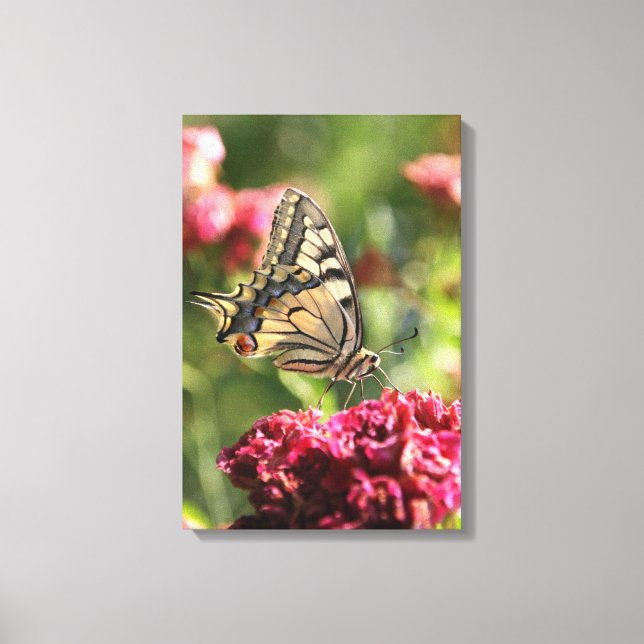 Yellow Swallowtail Butterfly Canvas (Front)