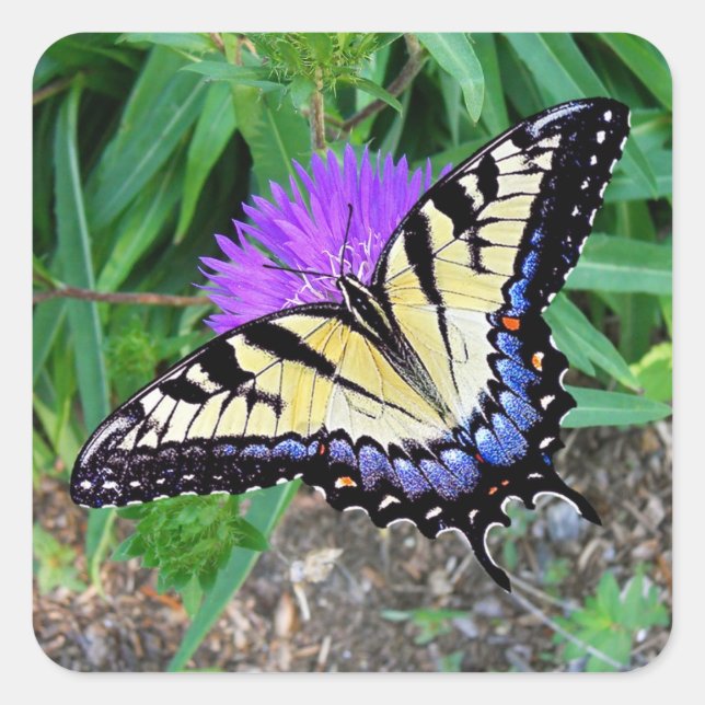 Yellow Swallowtail Butterfly Gift Sticker (Front)