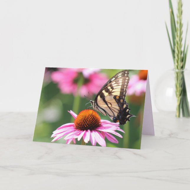 Yellow Swallowtail Butterfly Greeting Card (Front)