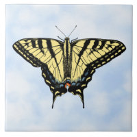 Yellow Swallowtail Butterfly on Blue Sky Custom