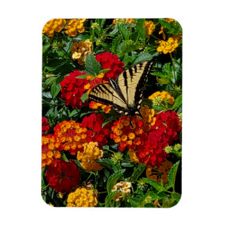 yellow swallowtail butterfly orange & red flowers  magnet