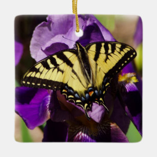 Yellow Swallowtail resting on a bearded iris. Ceramic Ornament