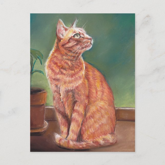 Yellow Tabby Cat Pastel Art Postcard (Front)