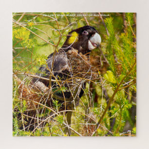 Yellow Tailed Black Cockatoo Australia Jigsaw Puzzle