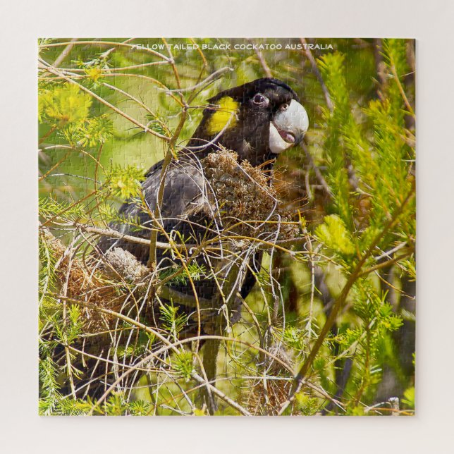 Yellow Tailed Black Cockatoo Australia Jigsaw Puzzle (Vertical)