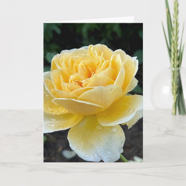 Yellow Tea Rose Blank Note Card (Front)