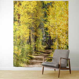 Yellow Tree Road // Hiking in Autumn Tapestry