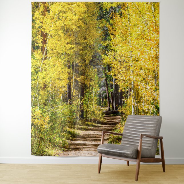 Yellow Tree Road // Hiking in Autumn Tapestry (In Situ)