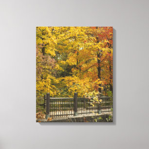 Yellow Trees Of Autumn Canvas Print