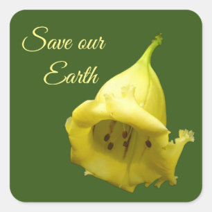 Yellow Tropical Blossom Square Sticker