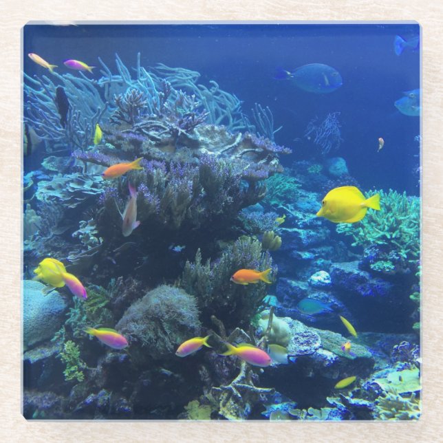 Yellow Tropical Fish Glass Coaster (Front)