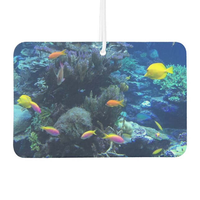 Yellow Tropical Fish Underwater Photo Air Freshener (Front)