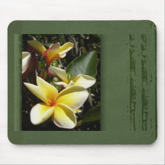 Yellow tropical plumeria flower mouse pad
